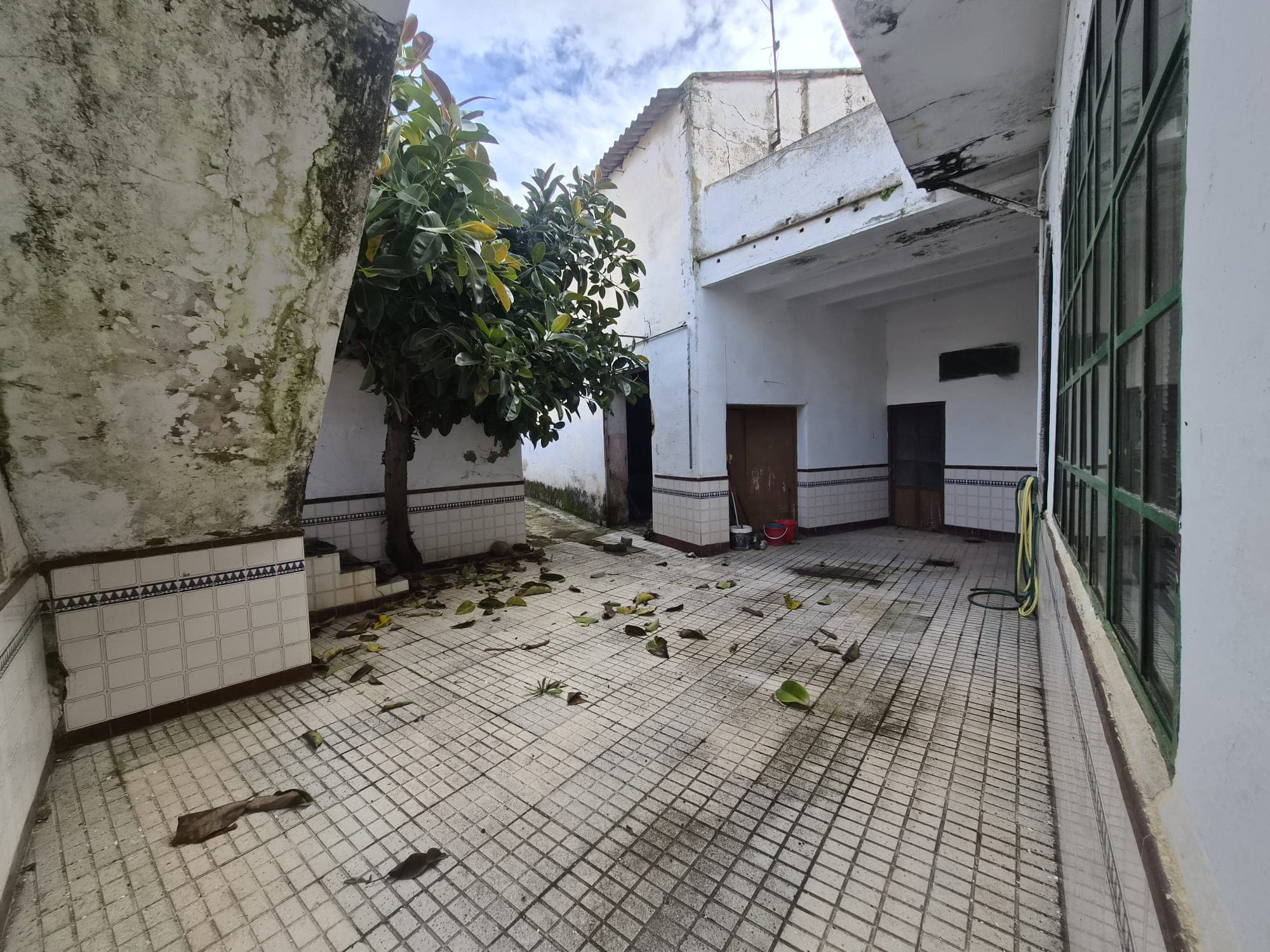 Imagen 18